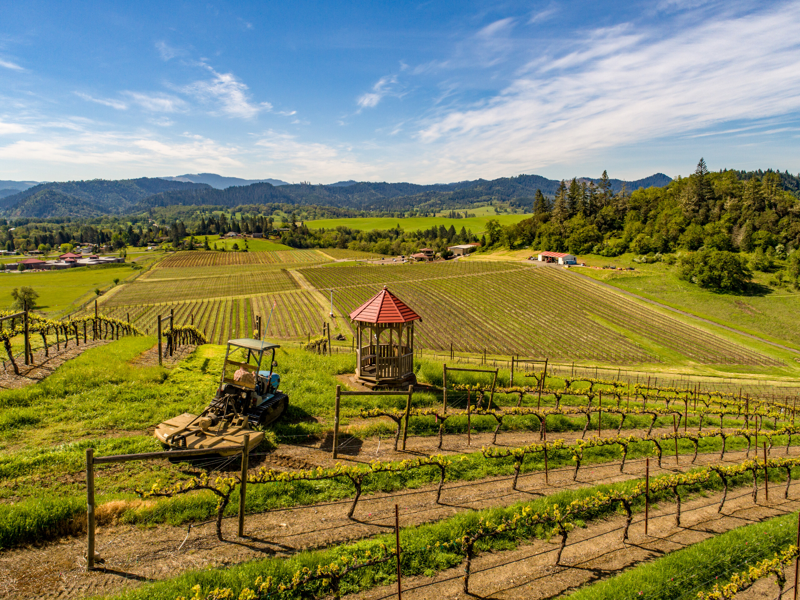 Abacela Winery and Vineyard in the Umpqua Valley of Oregon