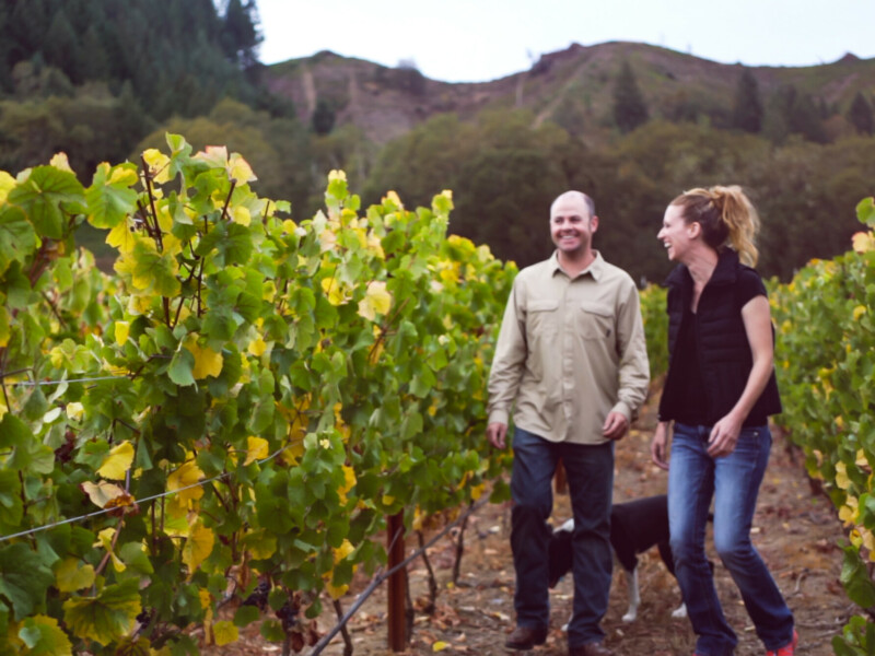 Wine grapes in Southern Oregon